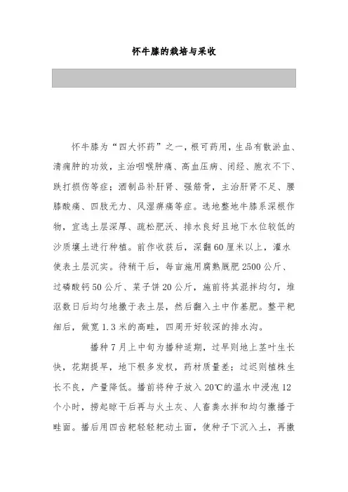 怀牛膝的栽培与采收