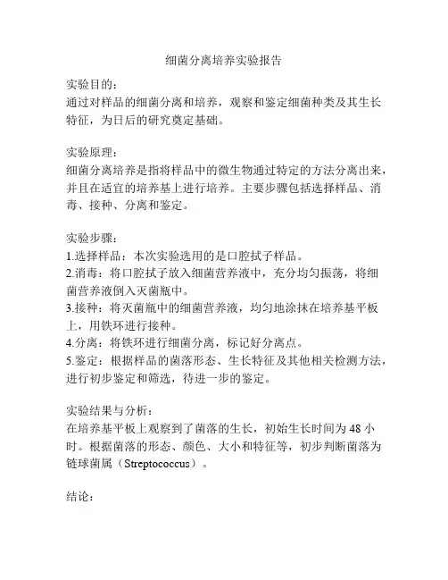 细菌分离培养实验报告