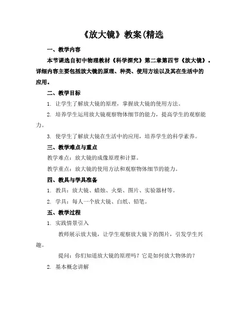 《放大镜》教案(精选
