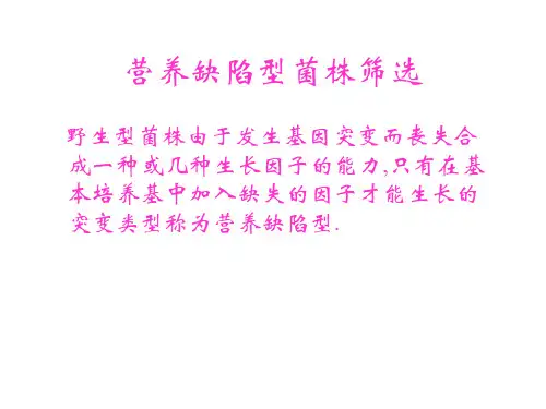 第2章  4  营养缺陷型菌株筛选
