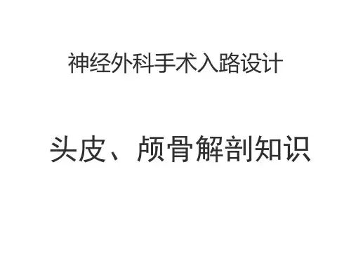 神经外科手术入路设计 头皮颅骨解剖知识【最终版】