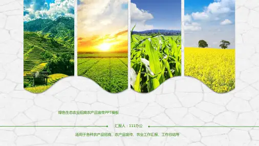 农业现代化粮食生产PPT模板种植农作物招商农产品五谷杂粮养生ppt (17)