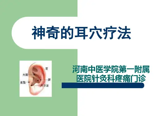 耳穴PPT课件