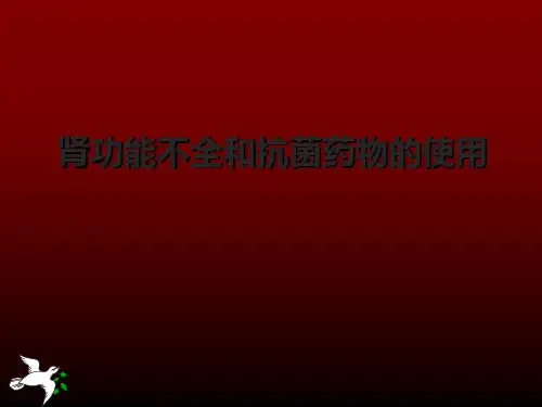 肾功能不全抗生素选择