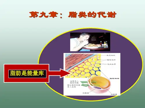 生物化学第九章脂代谢