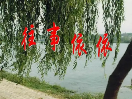 初中语文《往事依依》(共34张)ppt17