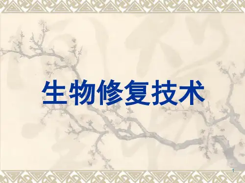 生物修复