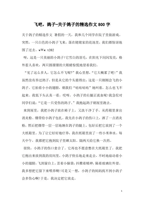飞吧,鸽子-关于鸽子的精选作文800字