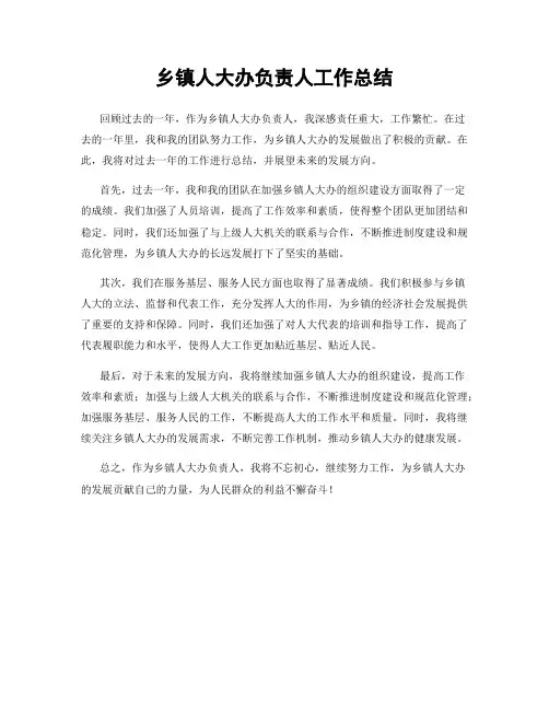 乡镇人大办负责人工作总结