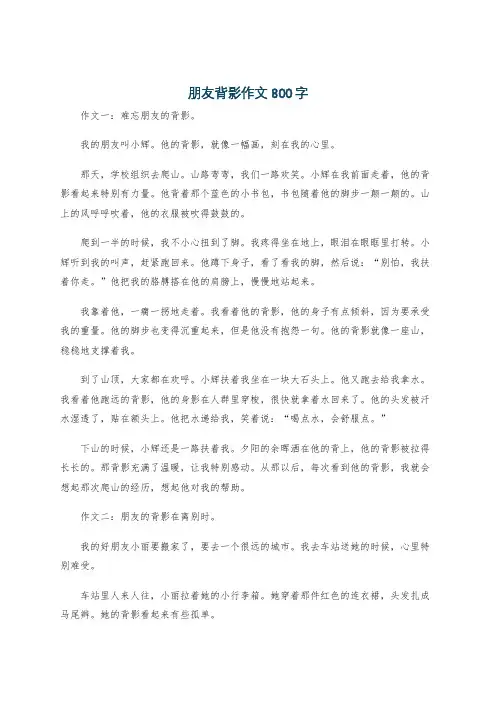 朋友背影作文800字