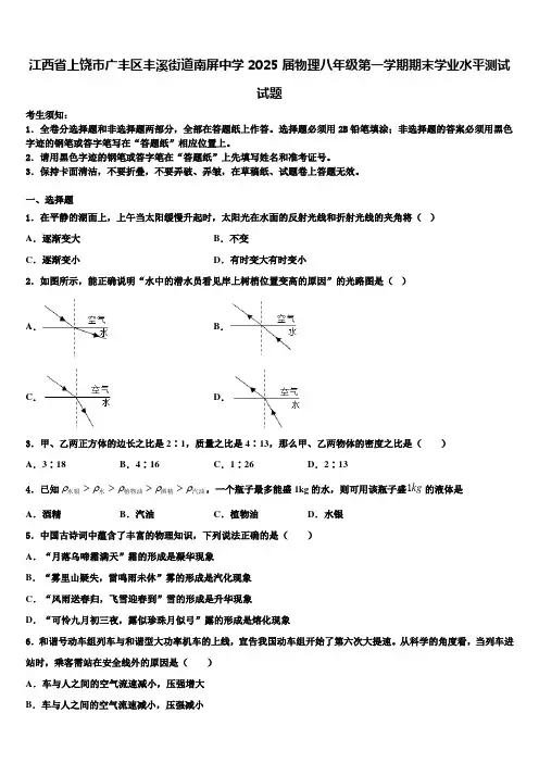 江西省上饶市广丰区丰溪街道南屏中学2025届物理八年级第一学期期末学业水平测试试题含解析