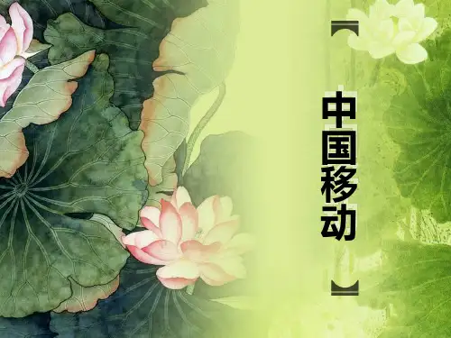 中国移动【案例】资料重点