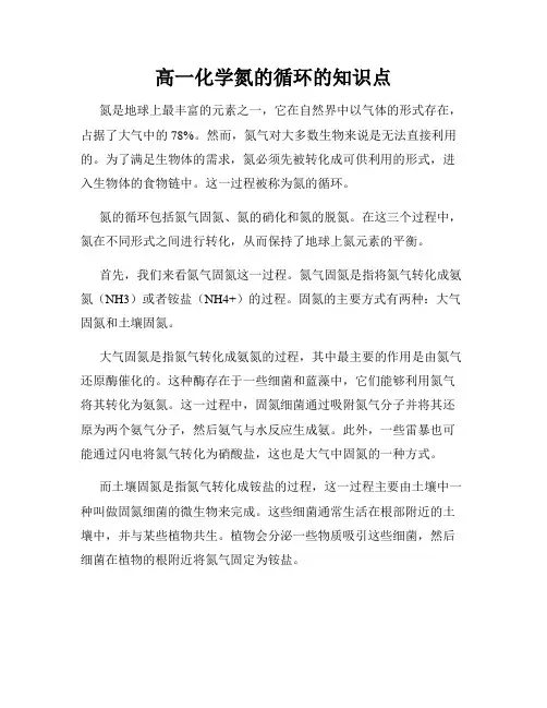 高一化学氮的循环的知识点