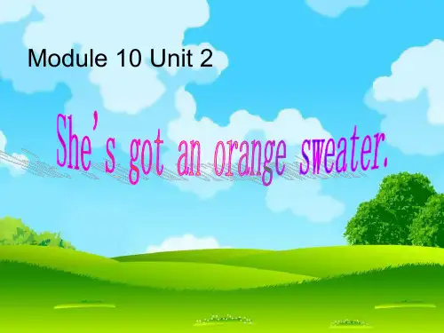 新外研版三年级英语下册Module 10 Unit 2 She's got an orange sweater课件1.ppt