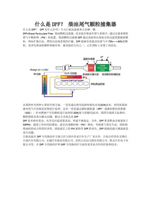 什么是DPF？