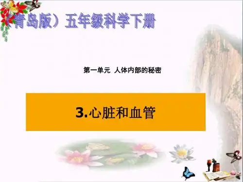 五年级科学上册第8课心脏和血管精选教学PPT课件1青岛版