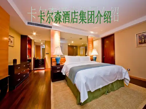 卡尔森(1)