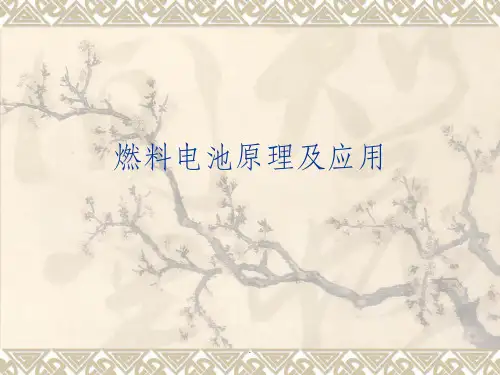 燃料电池原理及应用ppt课件