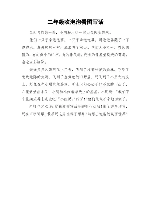 二年级吹泡泡看图写话_作文