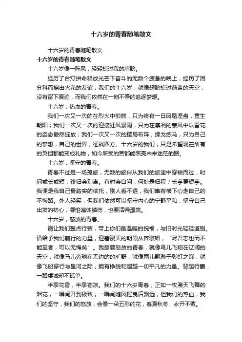 十六岁的青春随笔散文