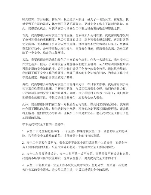 新员工对安全工作的感言