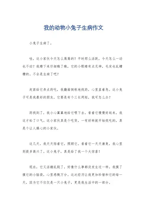 我的动物小兔子生病作文