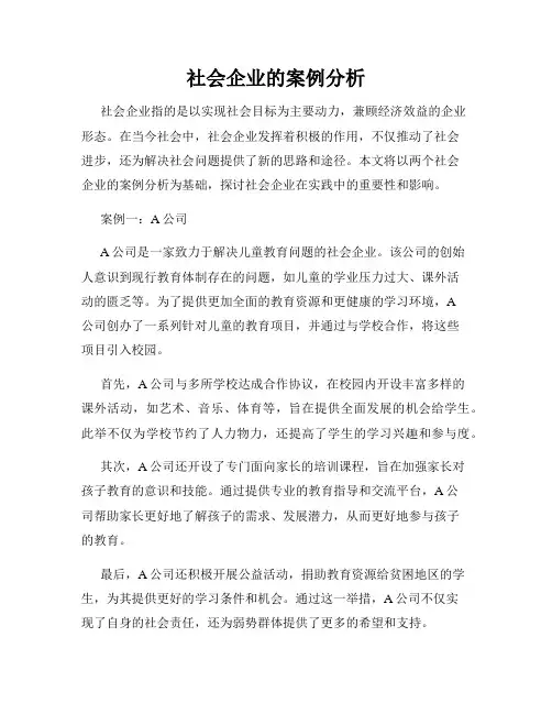 社会企业的案例分析
