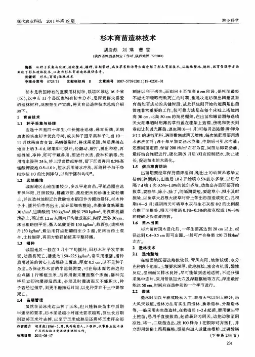 杉木育苗造林技术