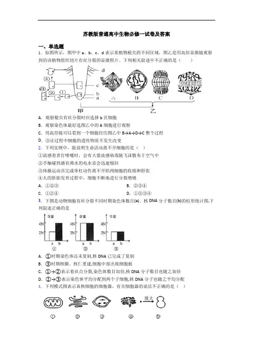 苏教版普通高中生物必修一试卷及答案