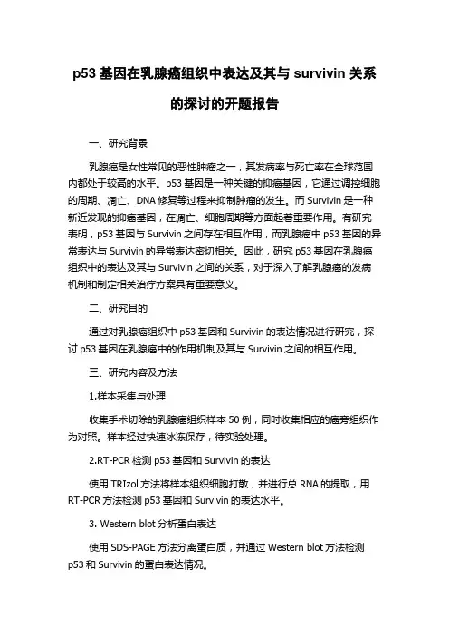 p53基因在乳腺癌组织中表达及其与survivin关系的探讨的开题报告