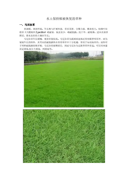 水土保持植被恢复的草种