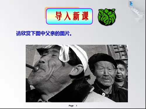 人教部编版七年级下册11《台阶》PPT课件(共53页)
