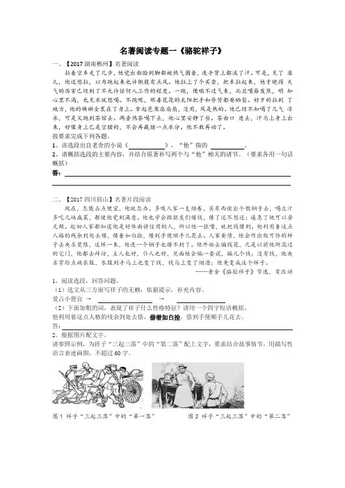 (word完整版)部编版七年级下册名著阅读专题-学生版