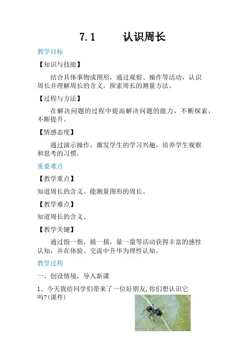 三年级：7.1认识周长教案