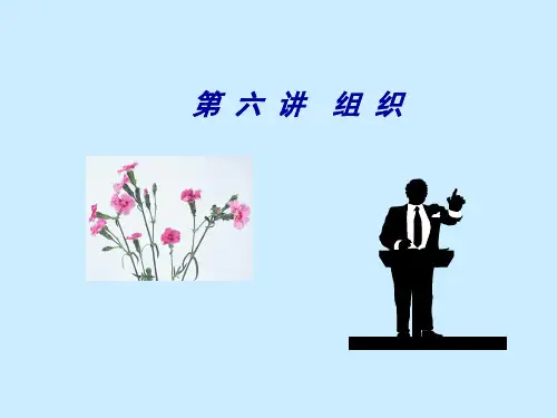 组织知识学习课件