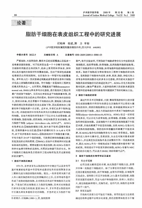 脂肪干细胞在表皮组织工程中的研究进展