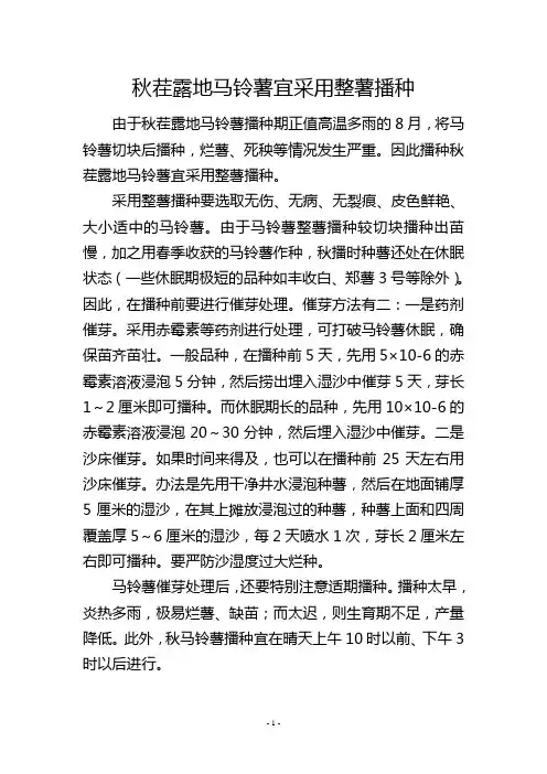秋茬露地马铃薯宜采用整薯播种