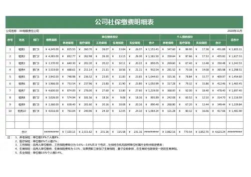 公司社保缴费明细表