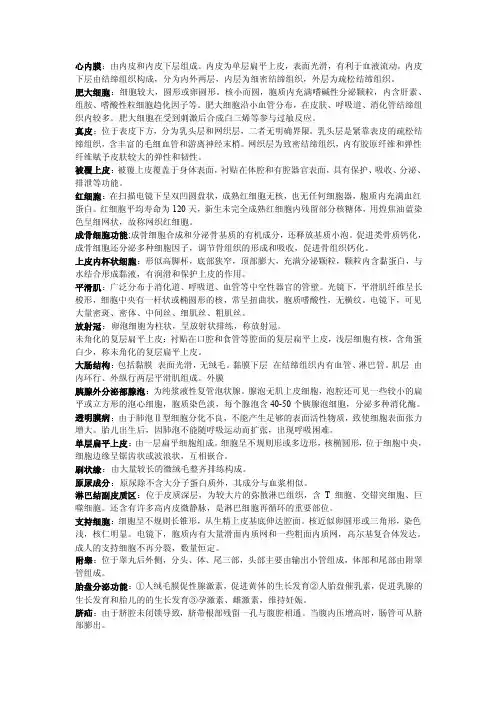 组胚名词解释