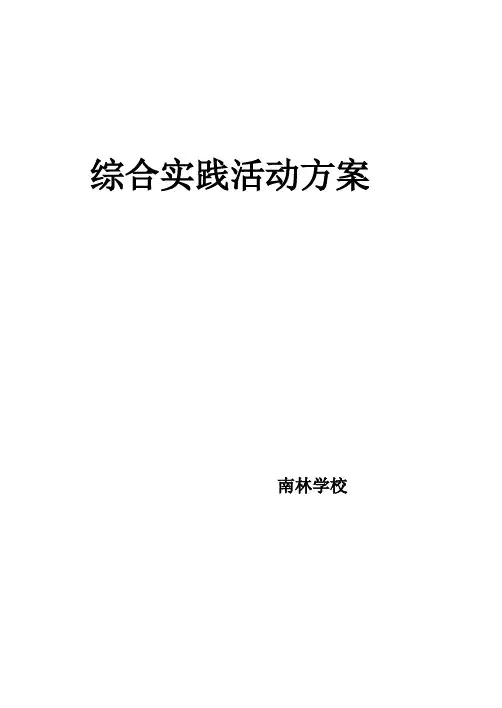 综合实践活动方案 2