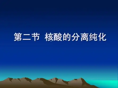 核酸的分离纯化