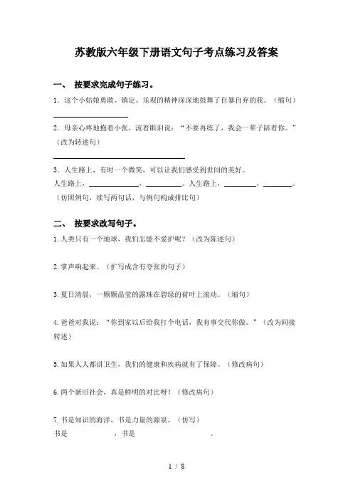 苏教版六年级下册语文句子考点练习及答案