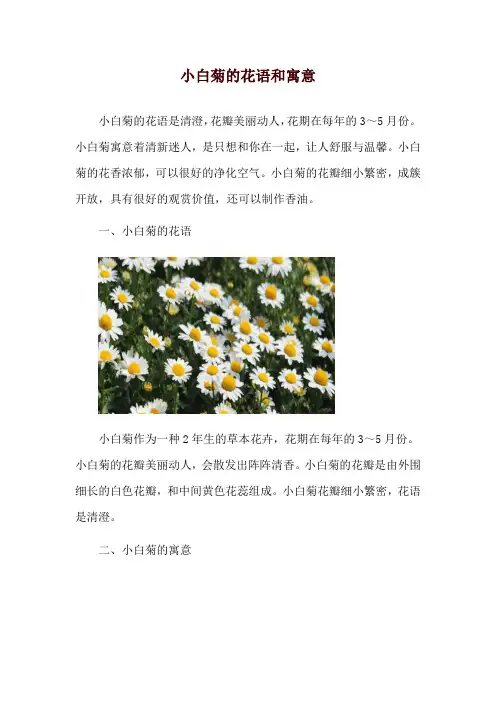 小白菊的花语和寓意