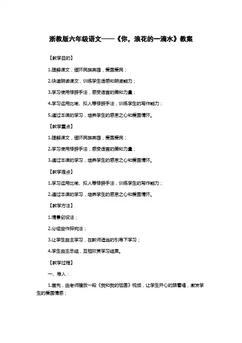 浙教版六年级语文——《你,浪花的一滴水》教案