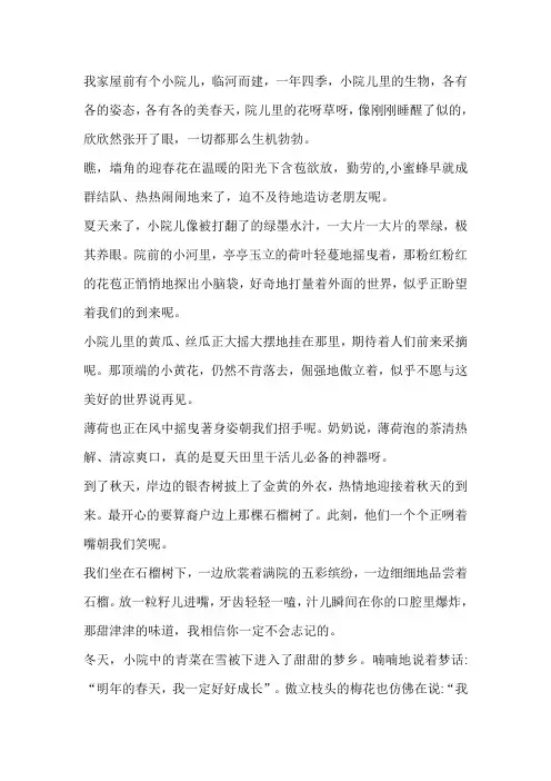 老家那个小院作文