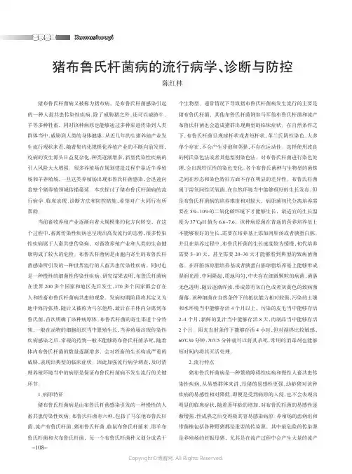 猪布鲁氏杆菌病的流行病学、诊断与防控