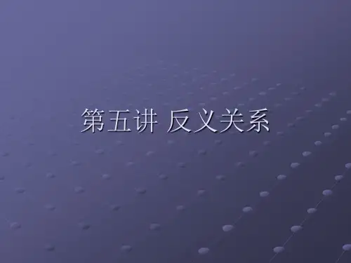 第五讲 反义关系