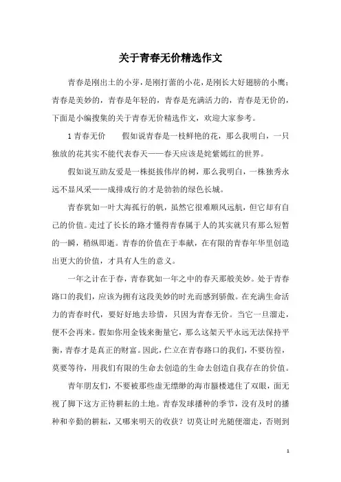 关于青春无价精选作文