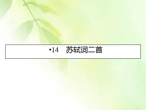 2019-2020学年粤教版语文选修唐诗宋词元散曲选读课件：14苏轼词二首