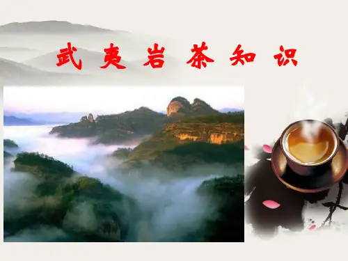 武 夷 岩 茶 知 识